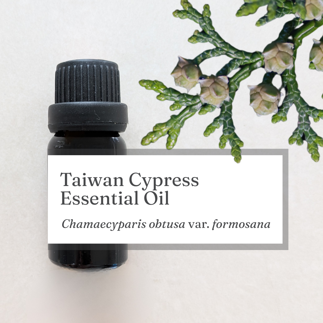 Taiwan Cypress (Hinoki) Essential Oil