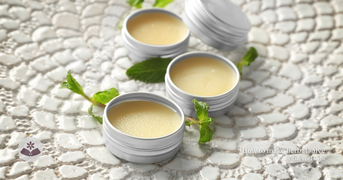 如何製作香藥草油膏