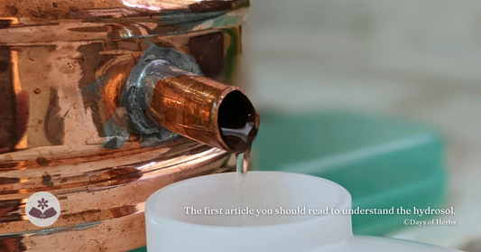 認識純露必讀的第一篇文章